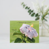 Paars Hibiscus flower Briefkaart (Staand voorkant)