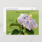 Paars Hibiscus flower Briefkaart (Voorkant / Achterkant)
