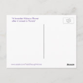 Paars Hibiscus flower Briefkaart (Achterkant)