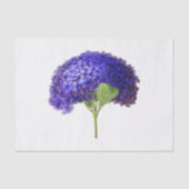  Paars Hydrangea Bloembloem Tissuepapier (Voorkant)