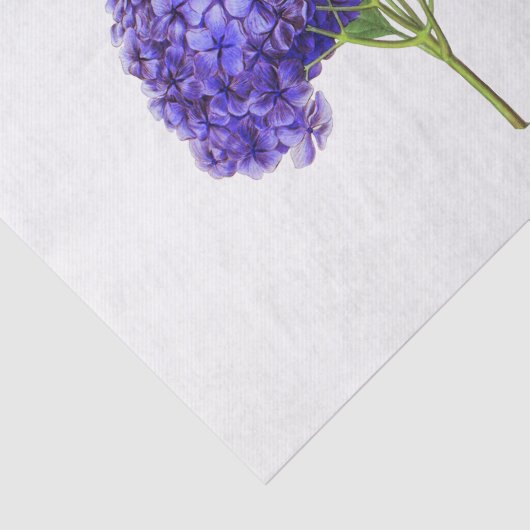  Paars Hydrangea Bloembloem Tissuepapier (Detail)
