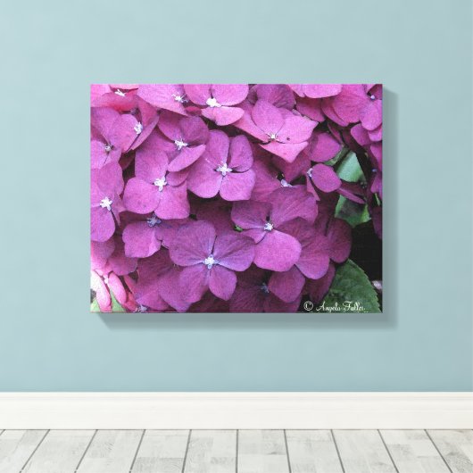 Paars Hydrangea Blooms Canvas (Insitu (Houten vloer))