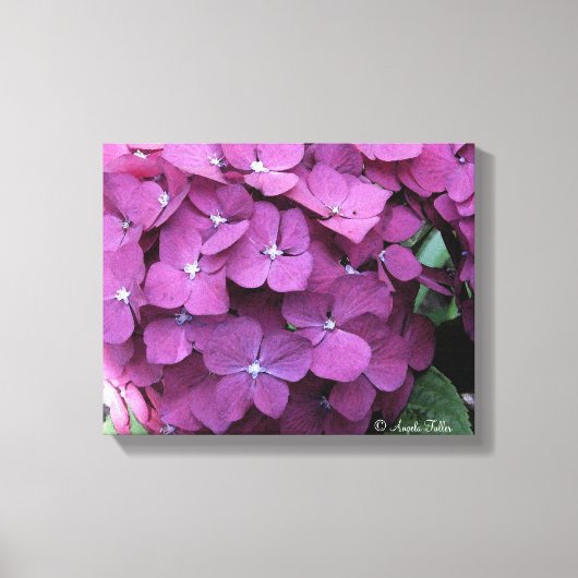 Paars Hydrangea Blooms Canvas (Voorkant)