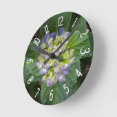 Paars Hydrangea Green Yellow Ronde Klok (Hoek)