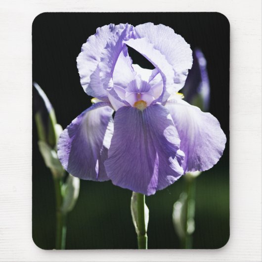 Paars Iris 8393 Mousepad Muismat (Voorkant)