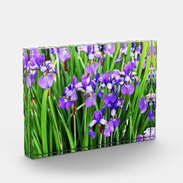 Paars Iris Acrylblok Fotoblokken