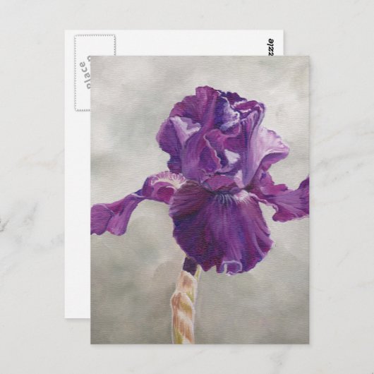 Paars Iris Art Briefkaart (Voorkant / Achterkant)