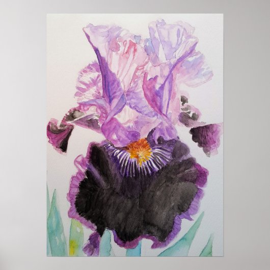 Paars Iris Art Floral Flowers Waterverf Poster (Voorkant)