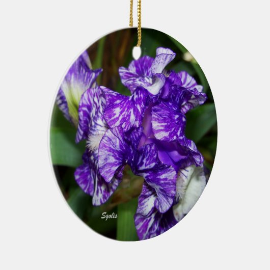 Paars Iris botanisch Ornament (Rechts)