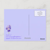Paars Iris Briefkaart (Achterkant)