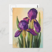 Paars Iris Briefkaart (Voorkant / Achterkant)