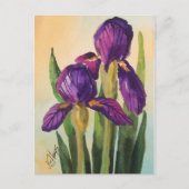 Paars Iris Briefkaart (Voorkant)