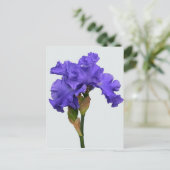  Paars Iris Floral Foto Briefkaart (Staand voorkant)