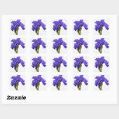  Paars Iris Floral Foto Vierkante Sticker (Vel)