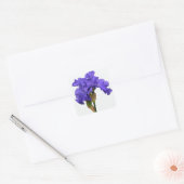  Paars Iris Floral Foto Vierkante Sticker (Envelop)