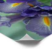 Paars Iris Flower Art-Poster Poster (Hoek)