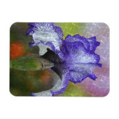 Paars Iris Magnet Magneet (Horizontaal)