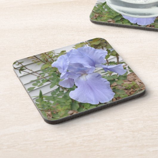 Paars Iris Onderzetter (Linkerzijde)