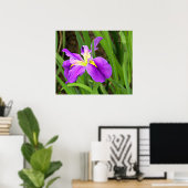Paars Iris Poster (Thuiskantoor)