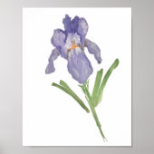 Paars Iris Waterverf Schilderend Poster (Voorkant)