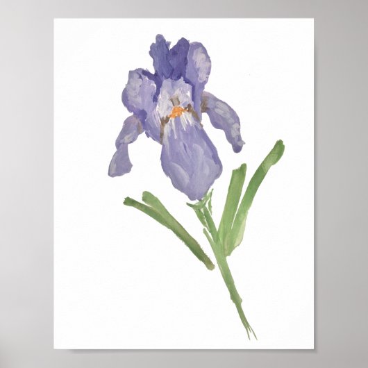 Paars Iris Waterverf Schilderend Poster (Voorkant)