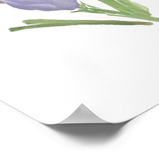 Paars Iris Waterverf Schilderend Poster (Hoek)