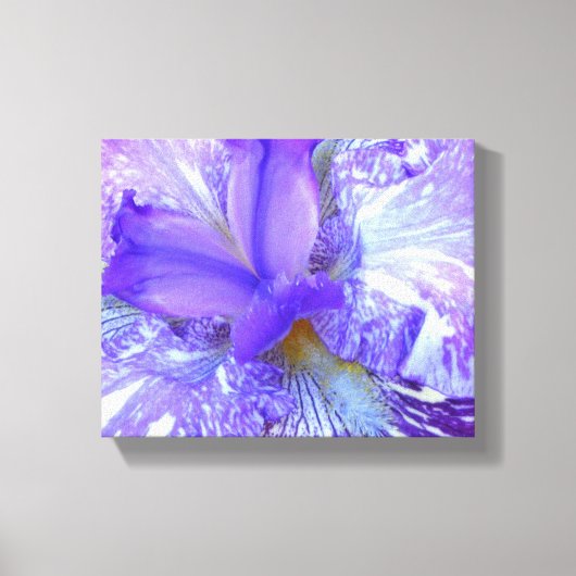 Paars Iris Wrapped Canvas Afdruk (Voorkant)