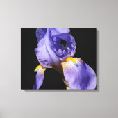 Paars Iris Wrapped Canvas Afdruk (Voorkant)