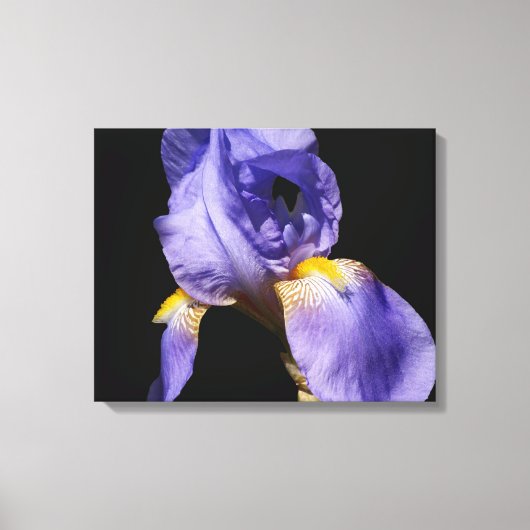 Paars Iris Wrapped Canvas Afdruk (Voorkant)