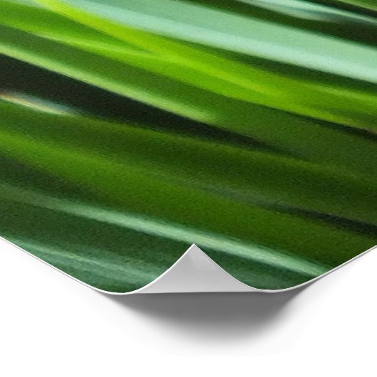 Paars Irises Poster (Hoek)