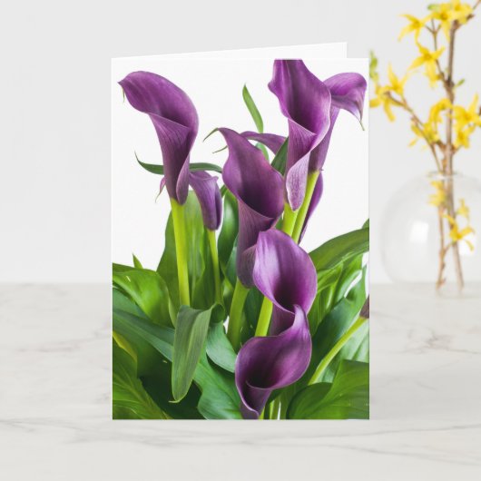 Paars Kaart (Gele Bloem)