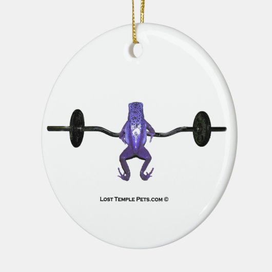 Paars kikkervisgewicht keramisch ornament (Links)