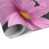 Paars kosmos-ventilatorontwerp op een zwarte achte cadeaupapier (Rol Hoek)