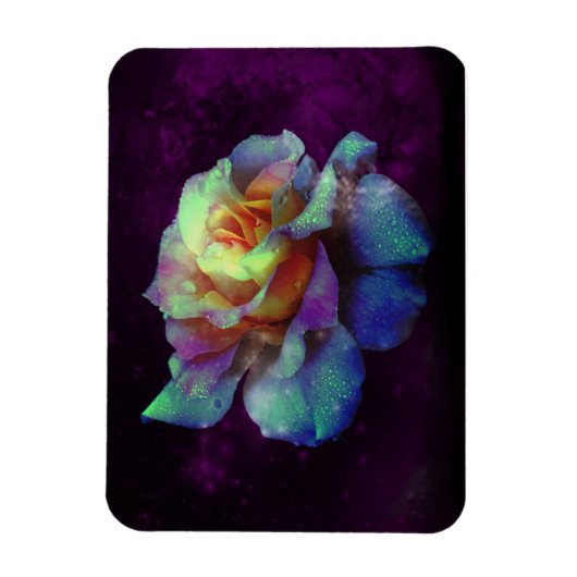 Paars Kust Turquoise Rainbow Roos Magnet Magneet (Verticaal)