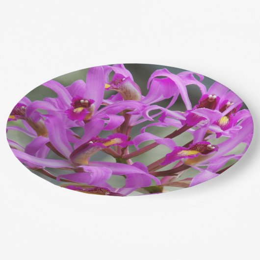 Paars Laelia Orchids Floral Papieren Bordje (Gekanteld)