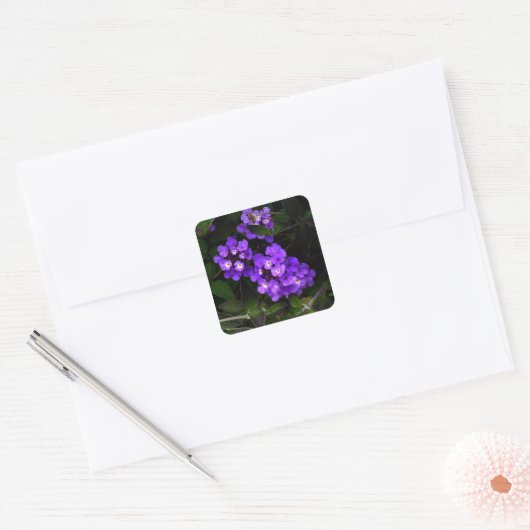 Paars Lantana #1 Sticker (Envelop)