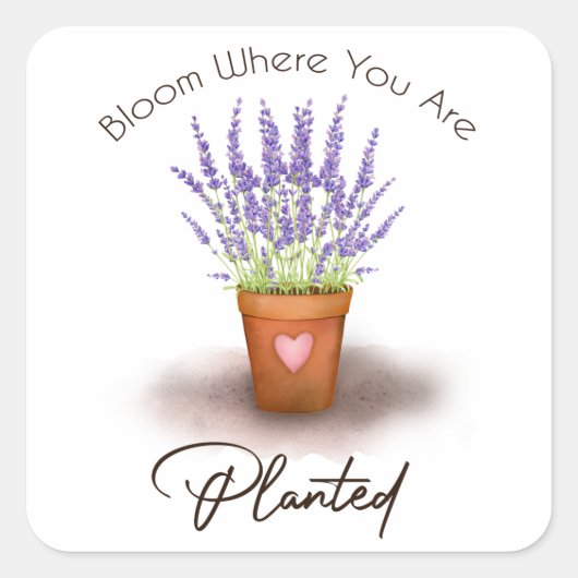 paars lavender plant pot-bloem aangeplant vierkante sticker (Voorkant)
