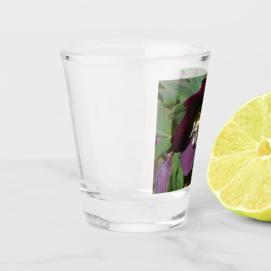 Paars Lenten Roos Shot Glas (Links)