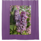 Paars Lila douchetriem Douchegordijn (Voorkant)