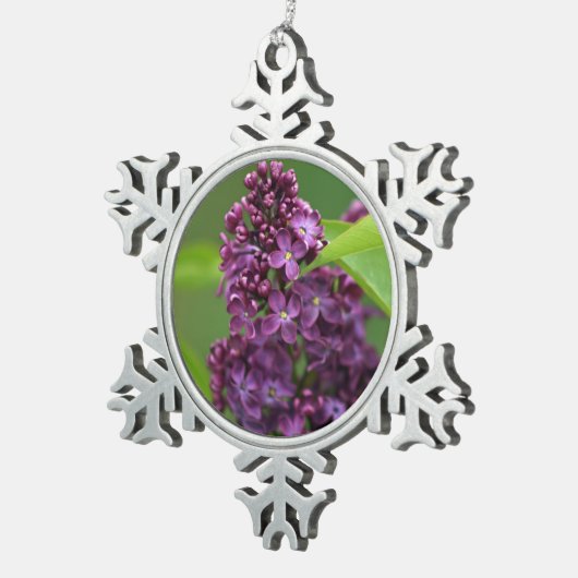 Paars Lila Ornament (Rechts)