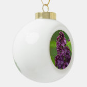 Paars Lila Ornament (Links)