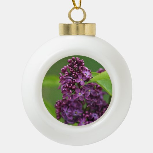 Paars Lila Ornament (Voorkant)