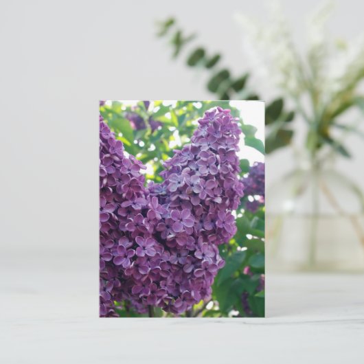 Paars Lilacs Briefkaart (Staand voorkant)