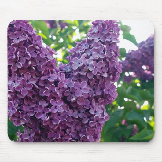 Paars Lilacs Muismat (Voorkant)