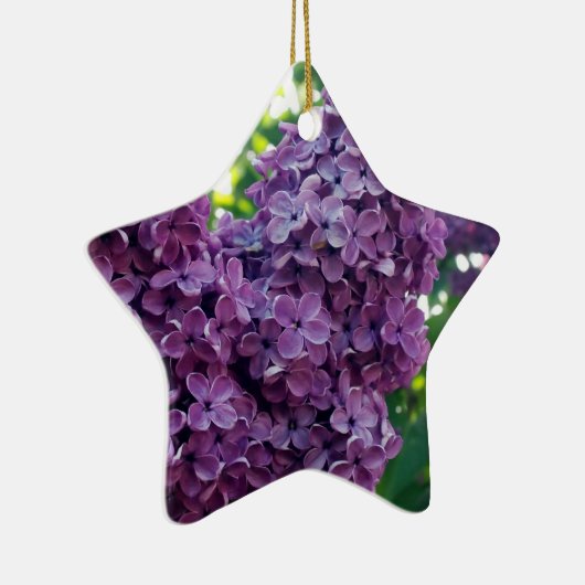 Paars Lilacs Ornament (Rechts)