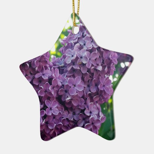 Paars Lilacs Ornament (Links)