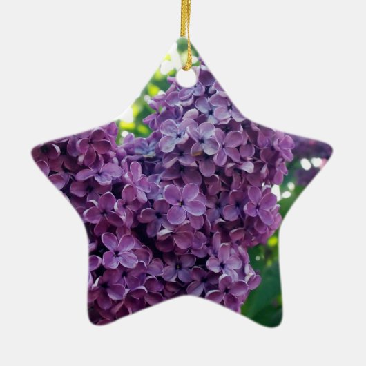 Paars Lilacs Ornament (Achterkant)