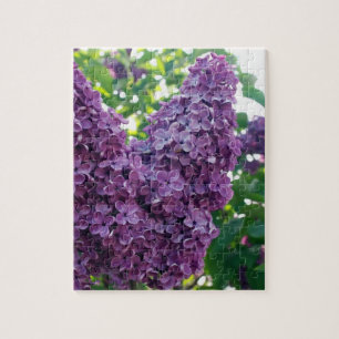 Paars Lilacs Puzzle Legpuzzel