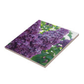Paars Lilacs Tile Tegeltje (Zijkant)