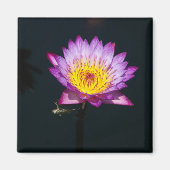 Paars Lotus Waterlily Dragonfly Nymph magnet (Voorkant)